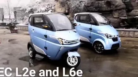 EEC Certificated Three Wheel Electric Car for European Market