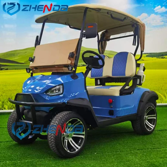 Folding Buggy Vehicle/2 Seats Golf Cart Hunting Vehicle/Remote Control Electric Car American Standard